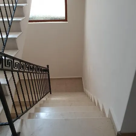 Dani 3*
